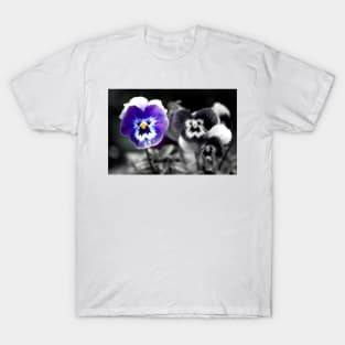 Blue Pansy Pansies Violas Summer Flowers T-Shirt